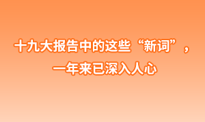 十九大报告中的这些“新词”， 一年来已深入人心