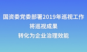 国资委党委部署2019年巡视工作：将巡视成果转化为企业治理效能