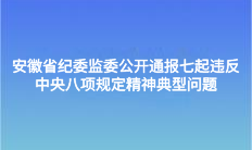 安徽省纪委监委公开通报七起违反中央八项规定精神典型问题