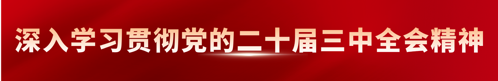 深入学习贯彻党的二十届三中全会精神